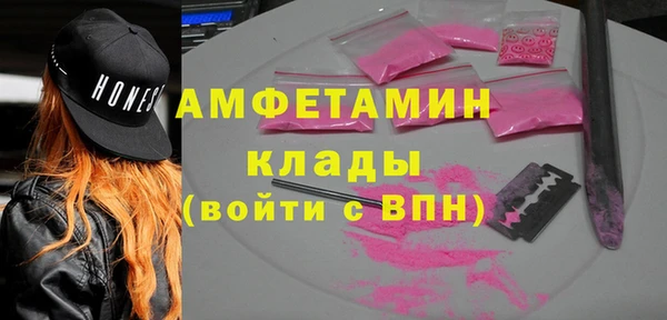 индика Горняк