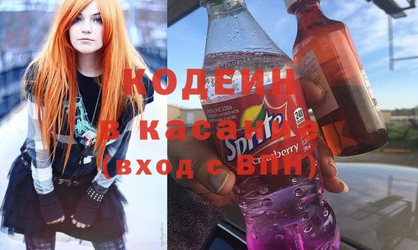 индика Горняк