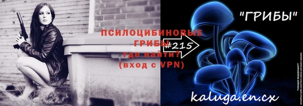 индика Горняк
