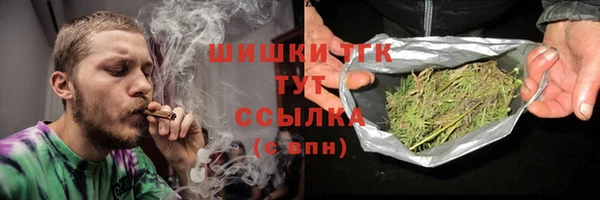 индика Горняк