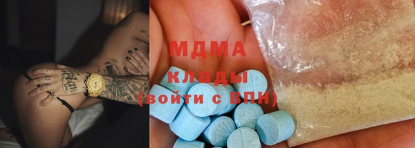 индика Горняк