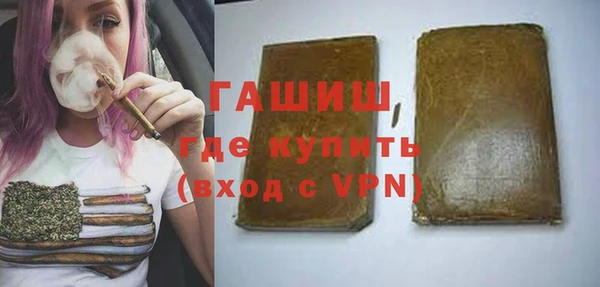 индика Горняк