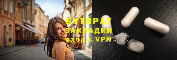индика Горняк