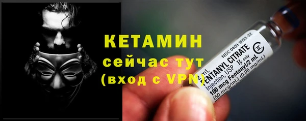 индика Горняк