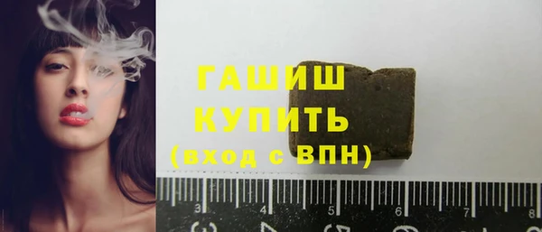 индика Горняк