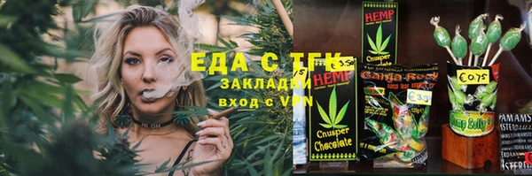 индика Горняк