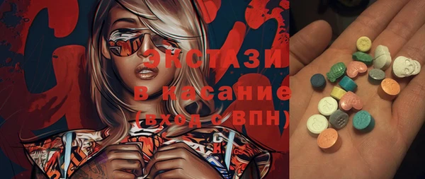 индика Горняк