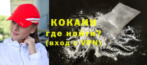 индика Горняк