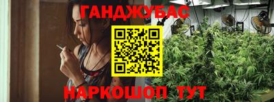 сатива Будённовск