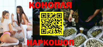 сатива Будённовск