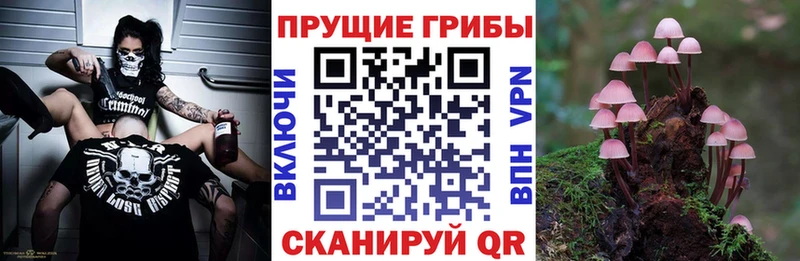 сайты даркнета Telegram  Джанкой  Псилоцибиновые грибы Magic Shrooms  omg ONION 