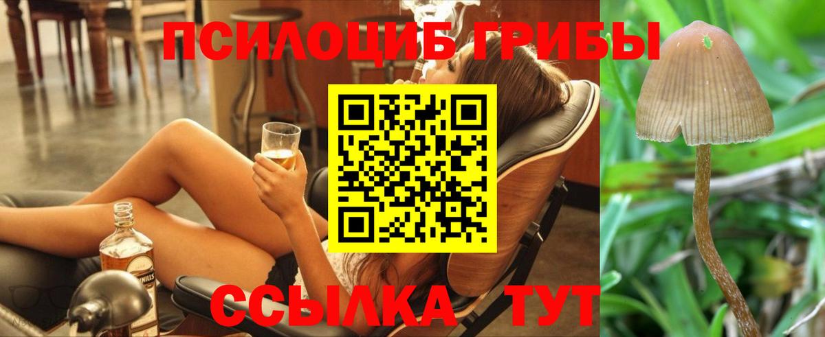 Псилоцибиновые грибы Magic Shrooms Джанкой